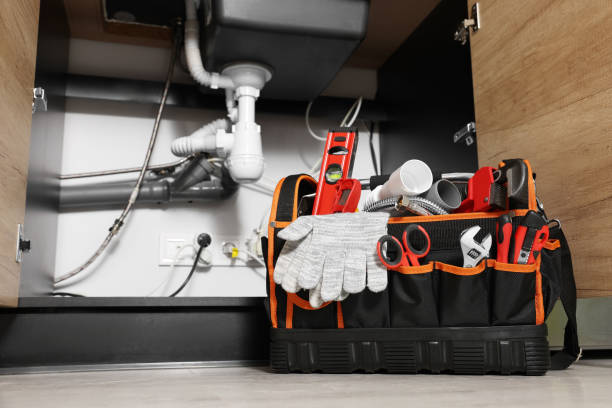 Best Local Plumber Services  in Celina, TX