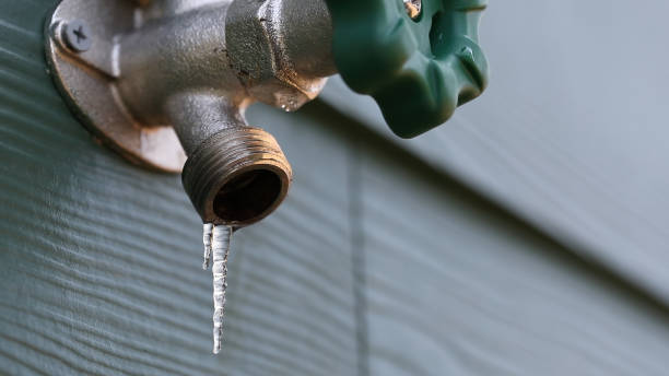 Best Sewer Line Repair  in Celina, TX